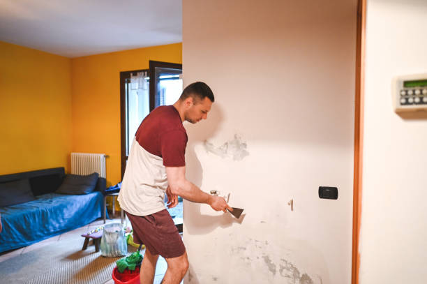 Best Local Mold Removal Service  in Metamora, IL